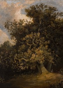 Oak Tree by Walter Scott